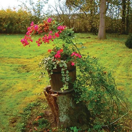 In Thulendorfsagerheide *